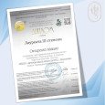 Всероссийский конкурс "Симфония талантов - 2025"