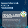 Здоровый образ жизни и его составляющие 