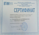 Мастер-класс в ВГИИ