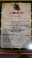 Поздравляем победителей открытытого регионального фестиваля - конкурса исполнителей на народных инструментах "Юные дарования"