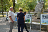 Пленэр "Музыкальная палитра"