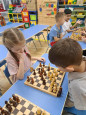 Игра в шахматы 