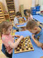Игра в шахматы 