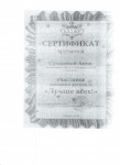 Дистационный районный фестиваль "Лучше всех!"