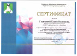 Районная методическая неделя