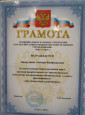 Наличие отмеченных профессиональных достижений
