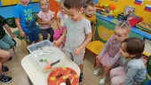 Экспериментирование с водой "Тонет - не тонет"