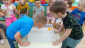 Экспериментирование с водой "Тонет - не тонет"