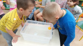 Экспериментирование с водой "Тонет - не тонет"