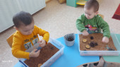 Чудеса в волшебной коробке