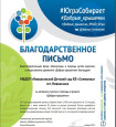 Профессионально - общественная активность 