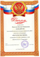 Профессионально - общественная активность 