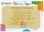 Сертификат участника вебинара