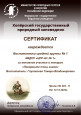 Сертификат участника конкурса"Покормите птиц зимой"