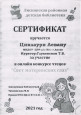 Грамота за первое место и сертификат участника в онлайн конкурсе чтецов "Свет материнских глаз"