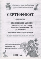 Грамота за первое место и сертификат участника в онлайн конкурсе чтецов "Свет материнских глаз"