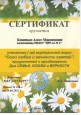 Сертификат участника виртуальной акции "Союз Семьи,Любви и Верности"