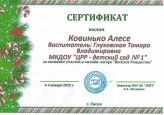 Сертификат за ативное участие в онлайн-лагере "Весёлое рождество"