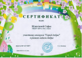 Сертификат участника конкурса "Город добра" в рамках недели добра