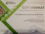 Сертификат участника всероссийской конференции для педагогов