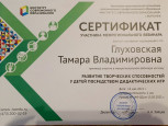 Сертификат участника межрегионального вебинара