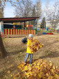 Золотая осень