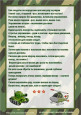 "Физкультминутки на армейскую тематику"