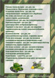 "Физкультминутки на армейскую тематику"