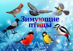 Презентация..