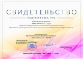 Представление  опыта работы