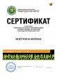 Повышение уровня профессиональных компетенций