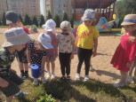 Как цветочек пьёт водичку?