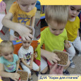 Синичкин день. Группа: "Цветные ладошки"