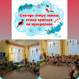 День снегиря