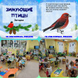 День зимующих птиц 