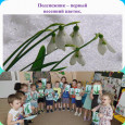 Аппликация "Подснежник". Младшая группа.