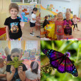 Жучок-паучок, стрекоза и бабочка 🦋🦋🦋