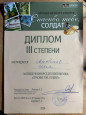 Муниципальный конкурс "Спасибо тебе, солдат!"