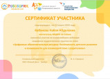 Участие в вебинарах, семинарах и т.п.