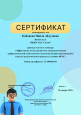 Участие в вебинарах, семинарах и т.п.
