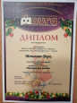 Достижения воспитанников