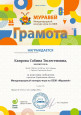 Мои достижения (Сертификаты)