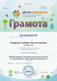 Мои достижения (Сертификаты)