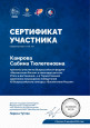 Мои достижения (Сертификаты)
