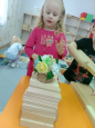 От самолета до скворечника