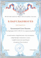 Районный уровень