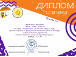Итоги среди команд-участниц, межрегионального проекта Детских служб примирения "Я учусь миру"