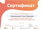 Вебинар. Школы личностного развития "Фрегат" ( г. Абакан)