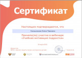 Вебинар. "Не хочу учиться: учебная мотивация подростков".