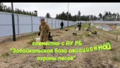 Педагогический сад